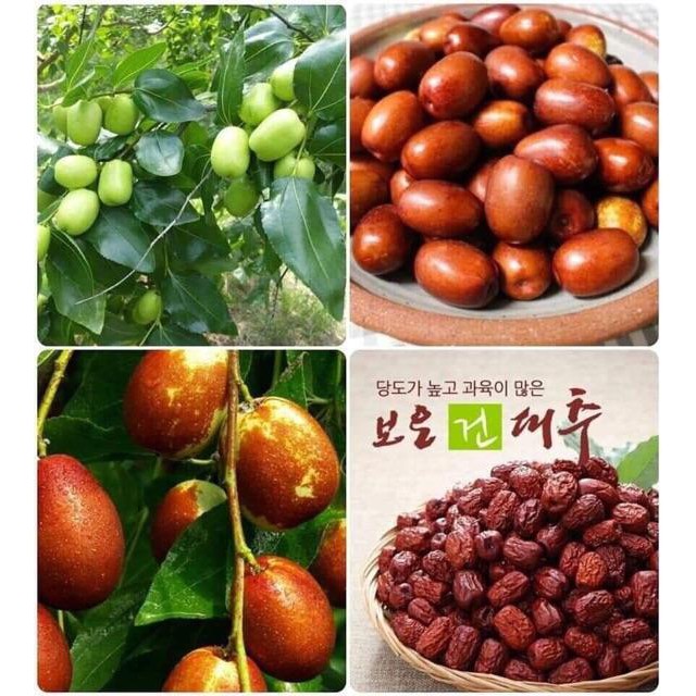 TÁO ĐỎ HÀN QUỐC TÚI 500G MẪU MỚI 2021 date 2023 | BigBuy360 - bigbuy360.vn