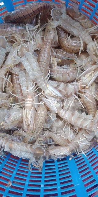 Bánh Tráng Tôm Tích 500g | BigBuy360 - bigbuy360.vn