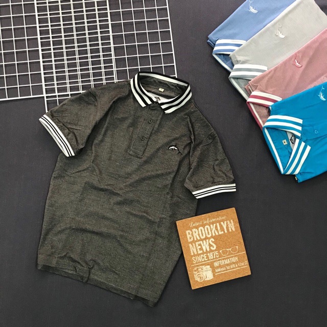 ÁO THUN CÁ SẤU CỔ BẺ CỰC ĐẸP