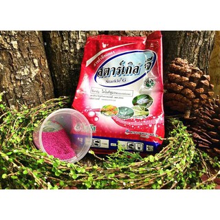 Thuốc Tím Trị Rệp Thái Lan Cho Sen Đá Xương Rồng