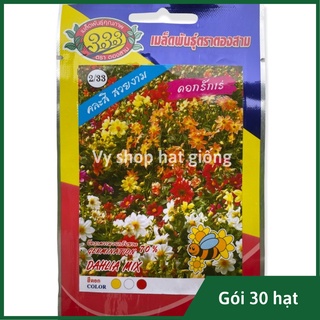 Hạt giống hoa thược dược lùn Thái Lan gói 30 hạt mix màu