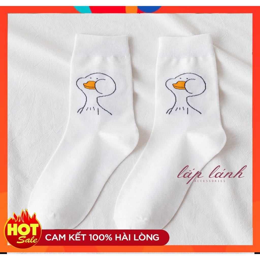 [Có sẵn] TẤT VỚ CỔ CAO HÌNH CHÚ CHIM MẶT QUẠU DỄ THƯƠNG ĐÁNG YÊU QUÀ TẶNG TÌNH YÊU Ý NGHĨA VALETINE VO008