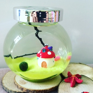Set Marimo mèo may mắn