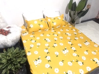 Bộ 5 Món Hè Cotton Poly Mẫu Hoa Cúc Vàng
