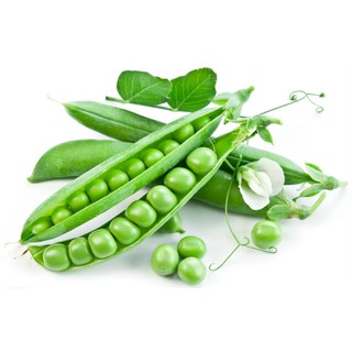 Hạt giống đậu Hà Lan ăn lá và quả 50gr - Rau củ quả trồng tại vườn, sân thượng, nông trang, ban công