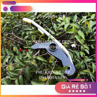 THẰN LẰN TĂNG CAM WAVES 110