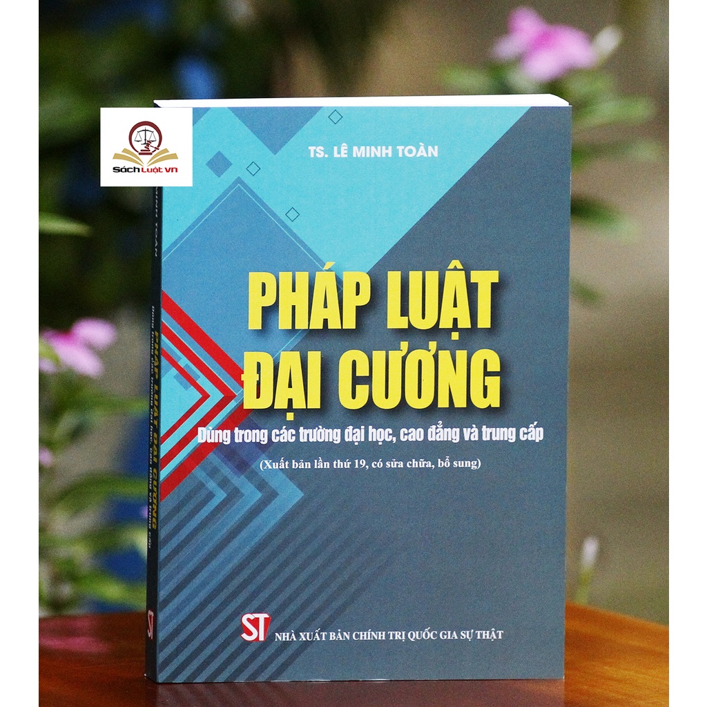 Sách- Pháp luật đại cương - Dùng trong các trường đại học, cao đẳng và trung cấp (xuất bản lần 19, có sửa đổi, bổ sung) | BigBuy360 - bigbuy360.vn