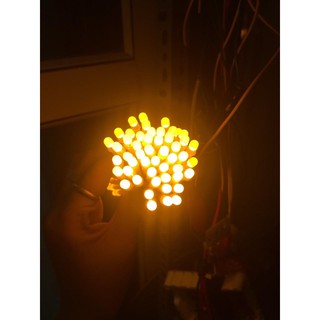 LED RUỒI JIYI 5MM 12V (BÓ 100 BÓNG)