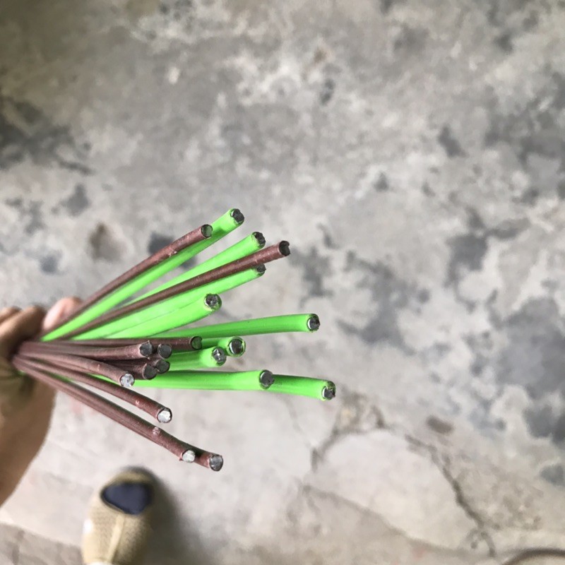 1kg que cắm lan