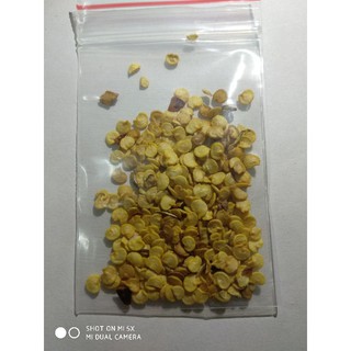 30 Hạt Giống ớt dài Hàn quốc