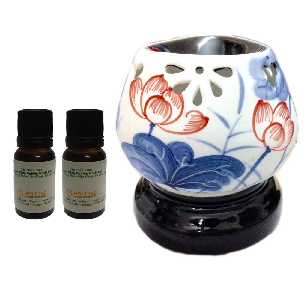 Đèn tam giác lá xanh lam và 2 tinh dâu bạch đàn chanh 10ml IAT