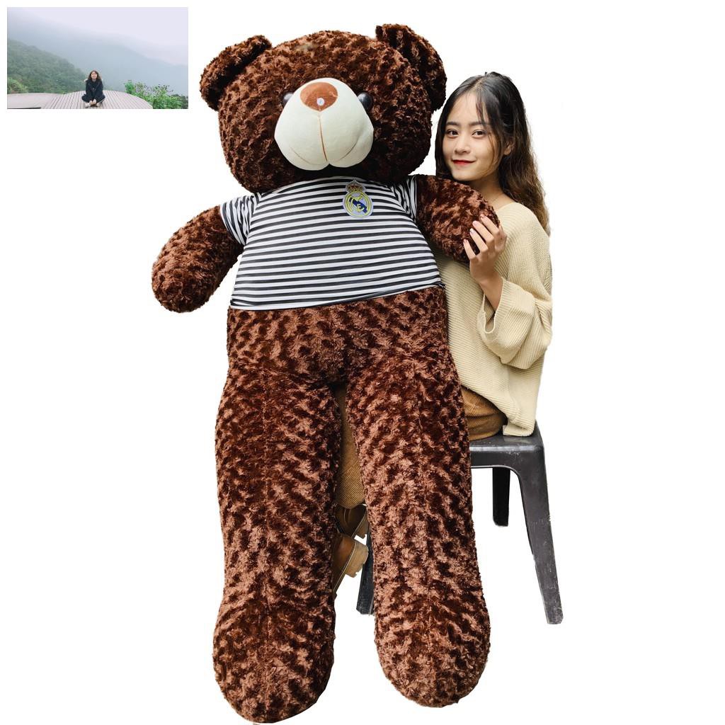 ( Rẻ vô địch ) Gấu Bông Teddy cao cấp khổ vải 1m8 cao 1m6