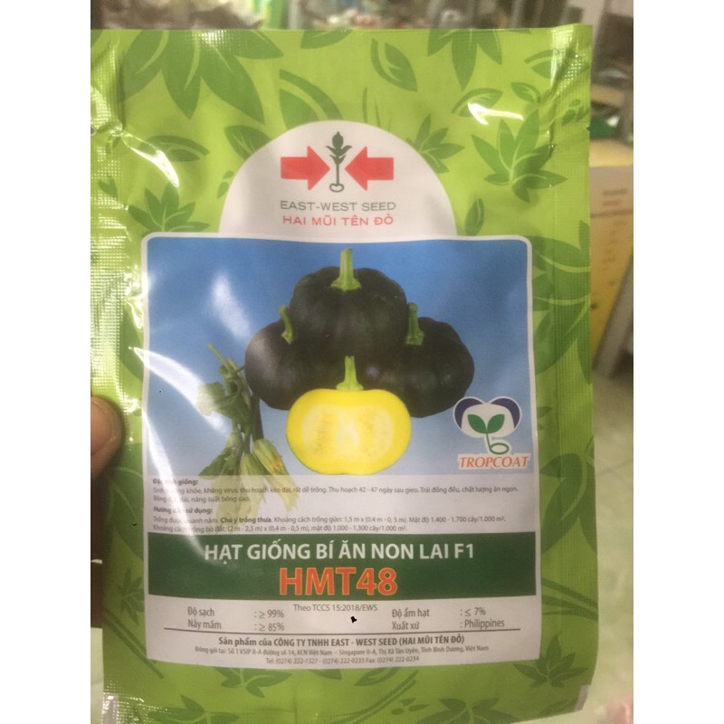 Hạt giống bí ăn non lai F1- gói 100 hạt