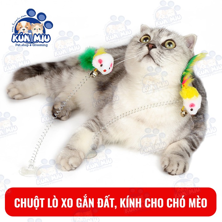 Đồ chơi Chuột lò xo có mút gắn đất, kính cho chó mèo Kún Miu