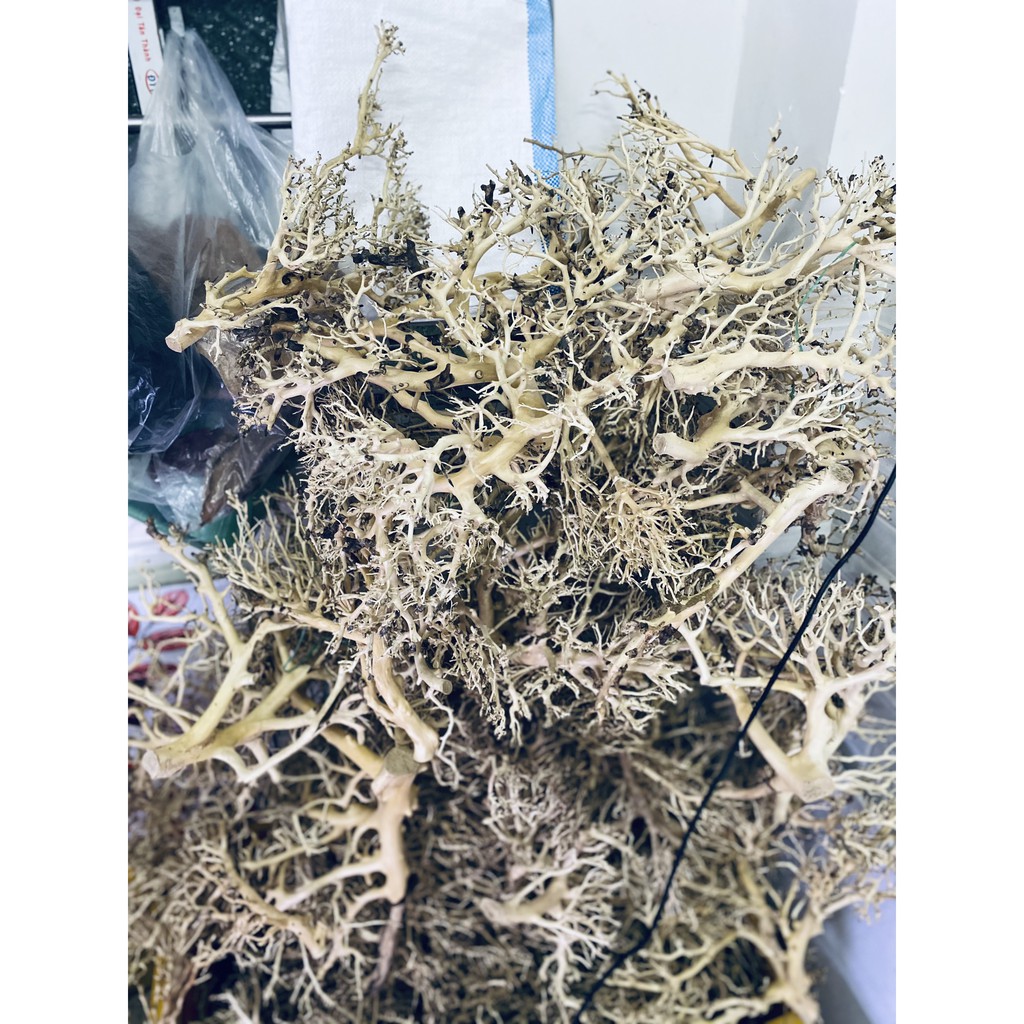 Lũa Xương Chùm (50gram) | Trang trí Thủy Sinh | Size To - Nhỏ |Mua nhiều giảm giá|