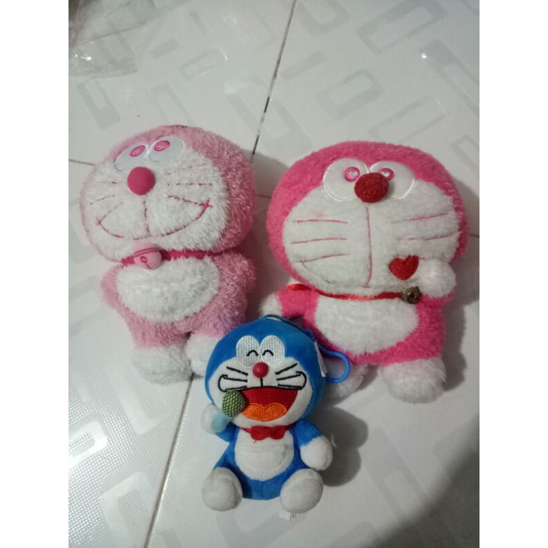 gấu của thư