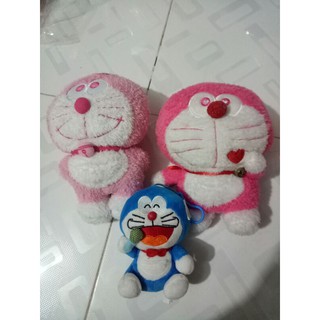 Gấu của thư