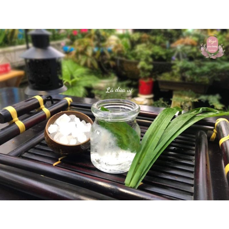 YẾN CHƯNG SẴN HANDMADE|100% TỔ YẾN THẬT Thơm Ngon Bổ Dưỡng | BigBuy360 - bigbuy360.vn