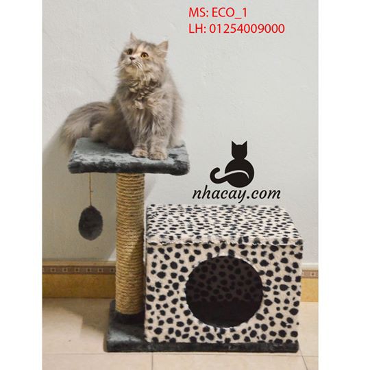 Nhà cây cho mèo mã số ECO_1