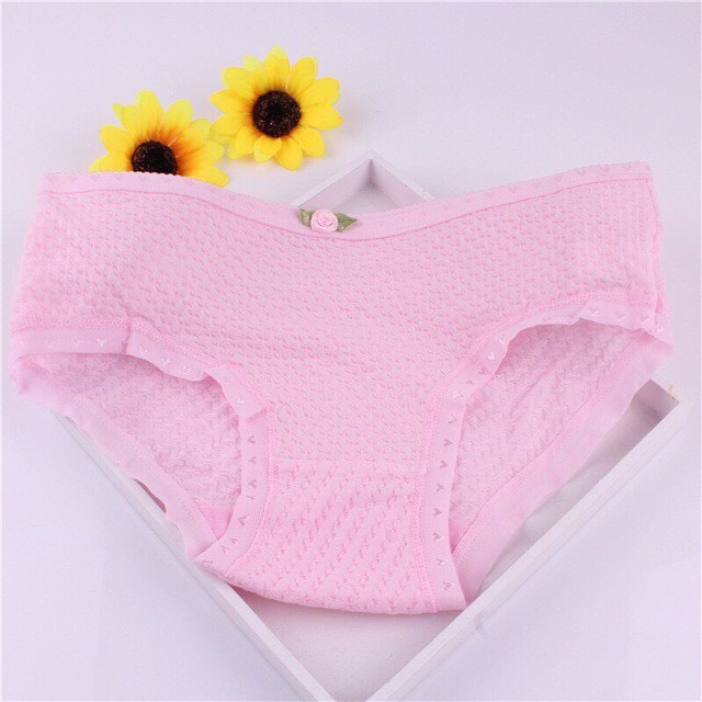 Quần Lót Cotton Sợi Bông Co Giãn Kháng Khuẩn 1980.