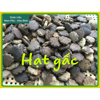1kg hạt gấc khô giá sỉ - mộc miết tử