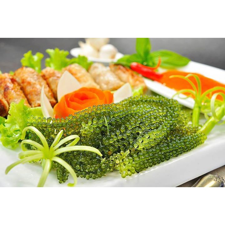 525g - 0,525 kg rong tươi tách nước nở ra 1,5 kg rong tươi chỉ với 125k | BigBuy360 - bigbuy360.vn