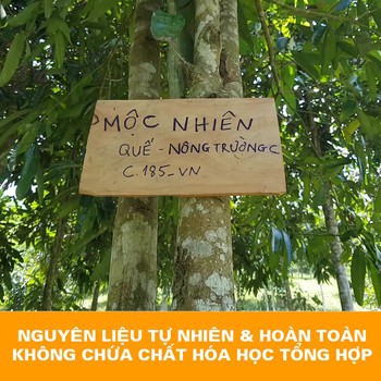 Tinh dầu treo xe Mộc Nhiên có kiểm định nguyên chất 100%