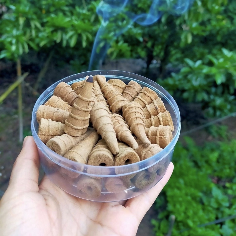 Nhang / nụ khuynh diệp thảo dược - Xông nhà, khử mùi an toàn, thanh tẩy không gian