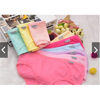 Quần Lót Cottong Pulo Size L