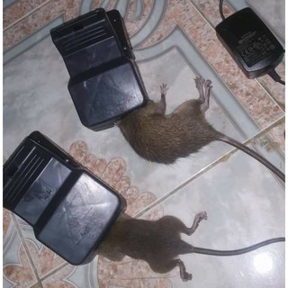 [SIÊU SALE] Combo 2 Bẫy chuột thông minh