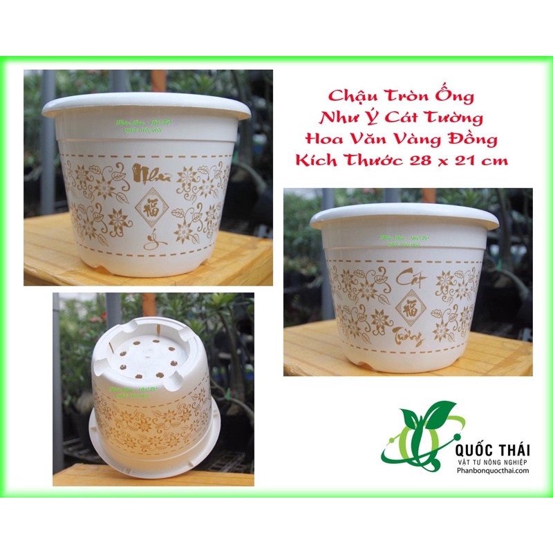 Chậu Thakico Tròn Nhũ Vàng 28×21 cm,Như Ý Cát Tường