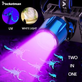 Đèn pha LED UV mạnh mẽ có thể sạc lại 4 chế độ Zoom Violet / Đèn chiếu sáng trắng