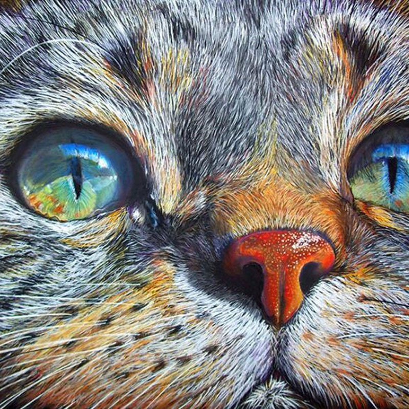 5D Cat Face Diamond Painting Cross Stitch DIY Living Room Decoration