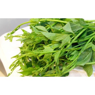 Rau lang tươi hữu cơ 500g