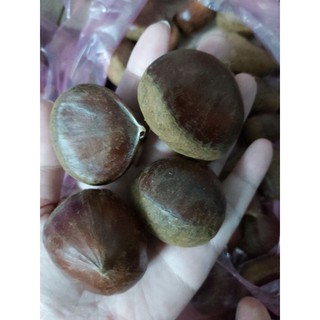 1kg hạt dẻ tươi, k bở. hàng luôn mới.