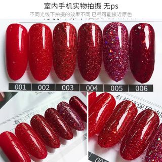 Sơn gel kaniu sét 6 lọ nhũ đỏ