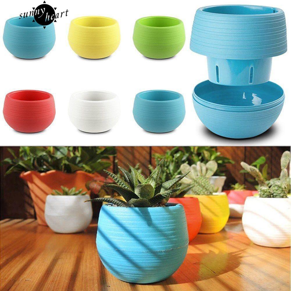 Chậu cây mini có đế hứng nước