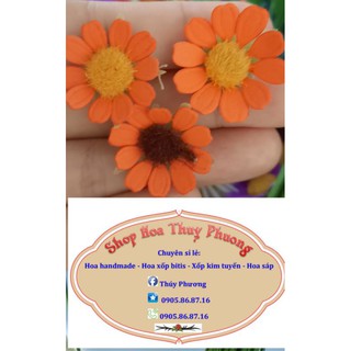 set 50 đầu bông hoa cúc tana