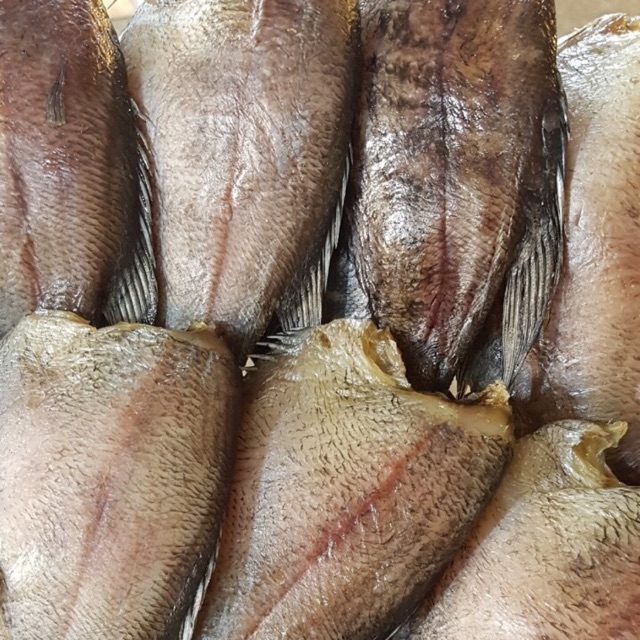 Cá sặc lạt