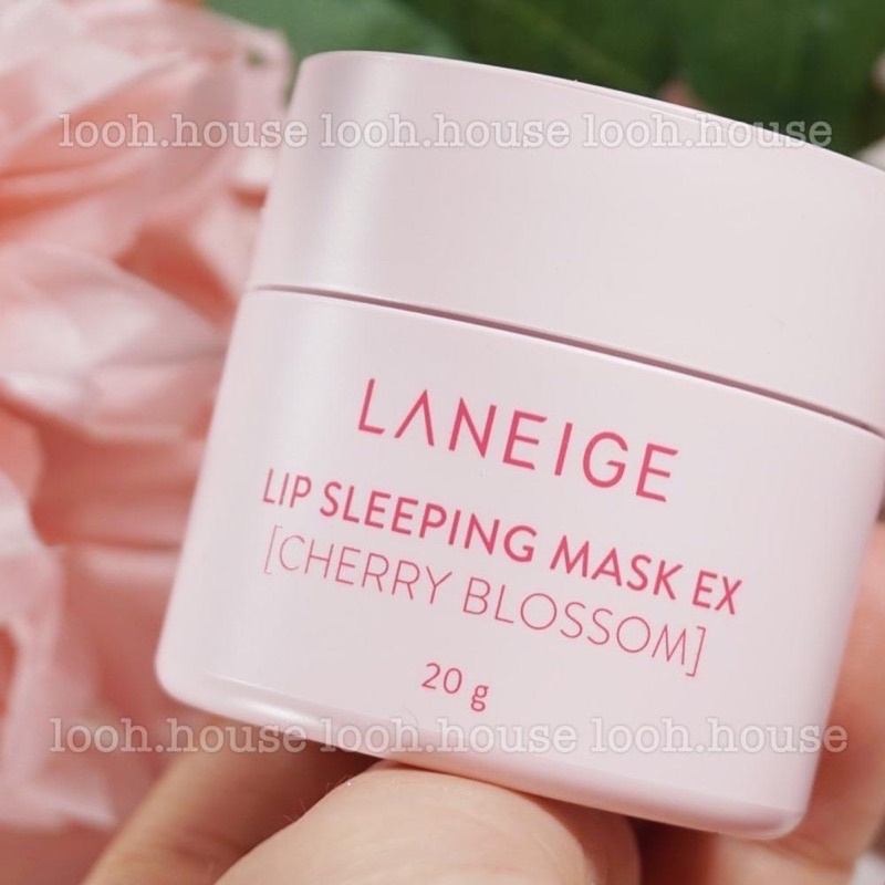 [Có bill - Full size] Mặt nạ ngủ môi Laneige - Cherry Blossom (bản limited)