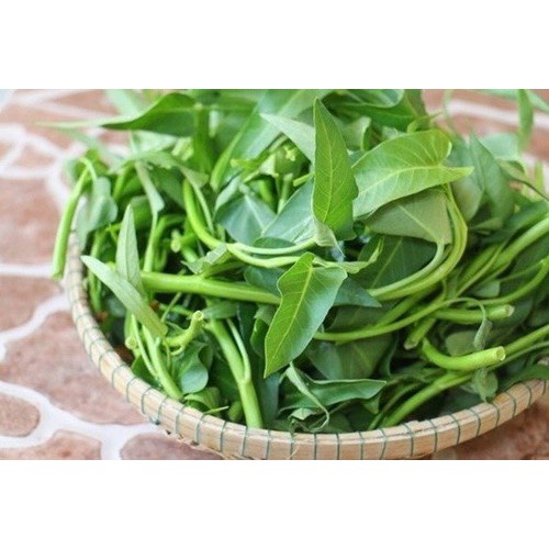 Hạt giống rau muống F1 loại dễ trồng năng suất cao kháng sâu bệnh (gói 500gram,1kg)