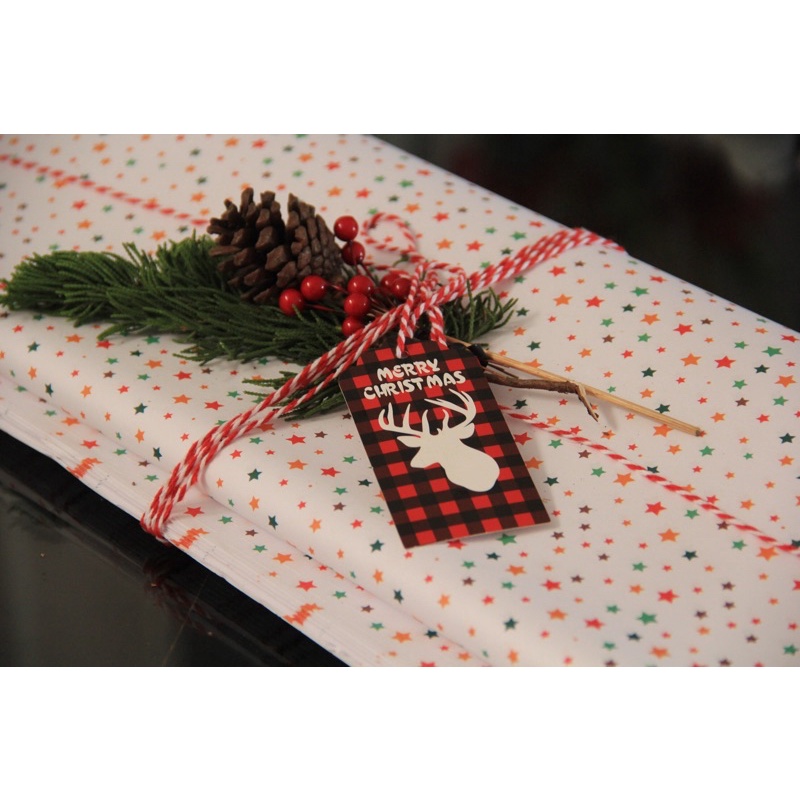 Quả anh đào  dùng trang trí Noel - đám cưới - chụp ảnh