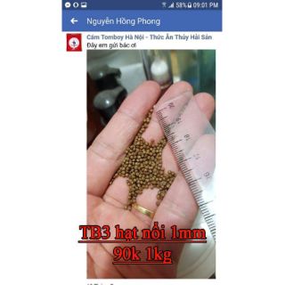 Cám tomboy tb3 nổi hạt 1mm