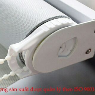 MÀN SÁO CUỐN ÚC