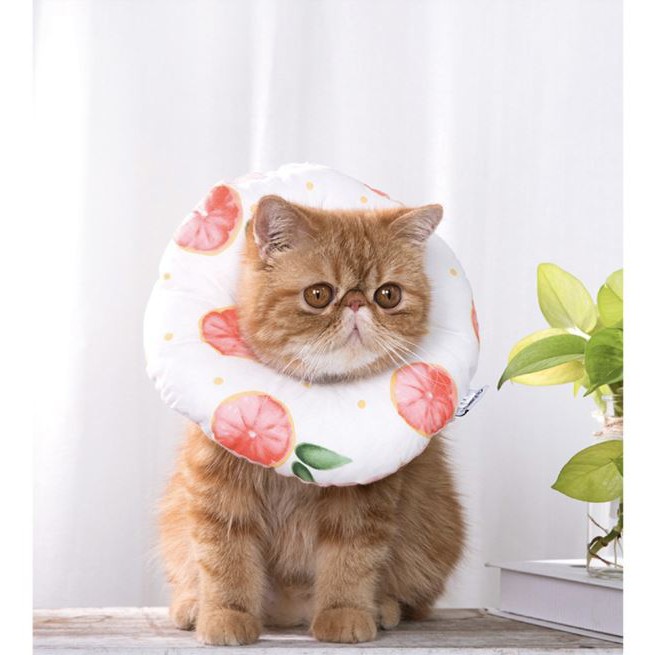 Gối chống liếm cho chó mèo SIZE LỚN. Loa chống liếm cho thú cưng BIG SIZE
