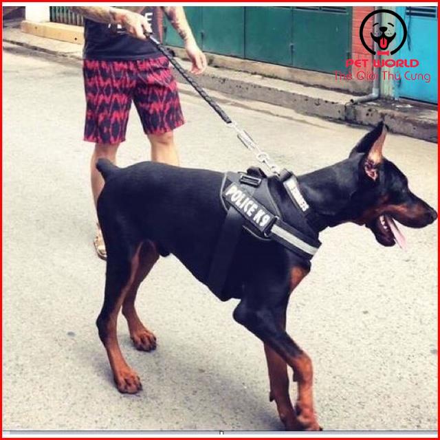 Dây đai người huấn luyện Police K9 chó chó từ 15-60kg