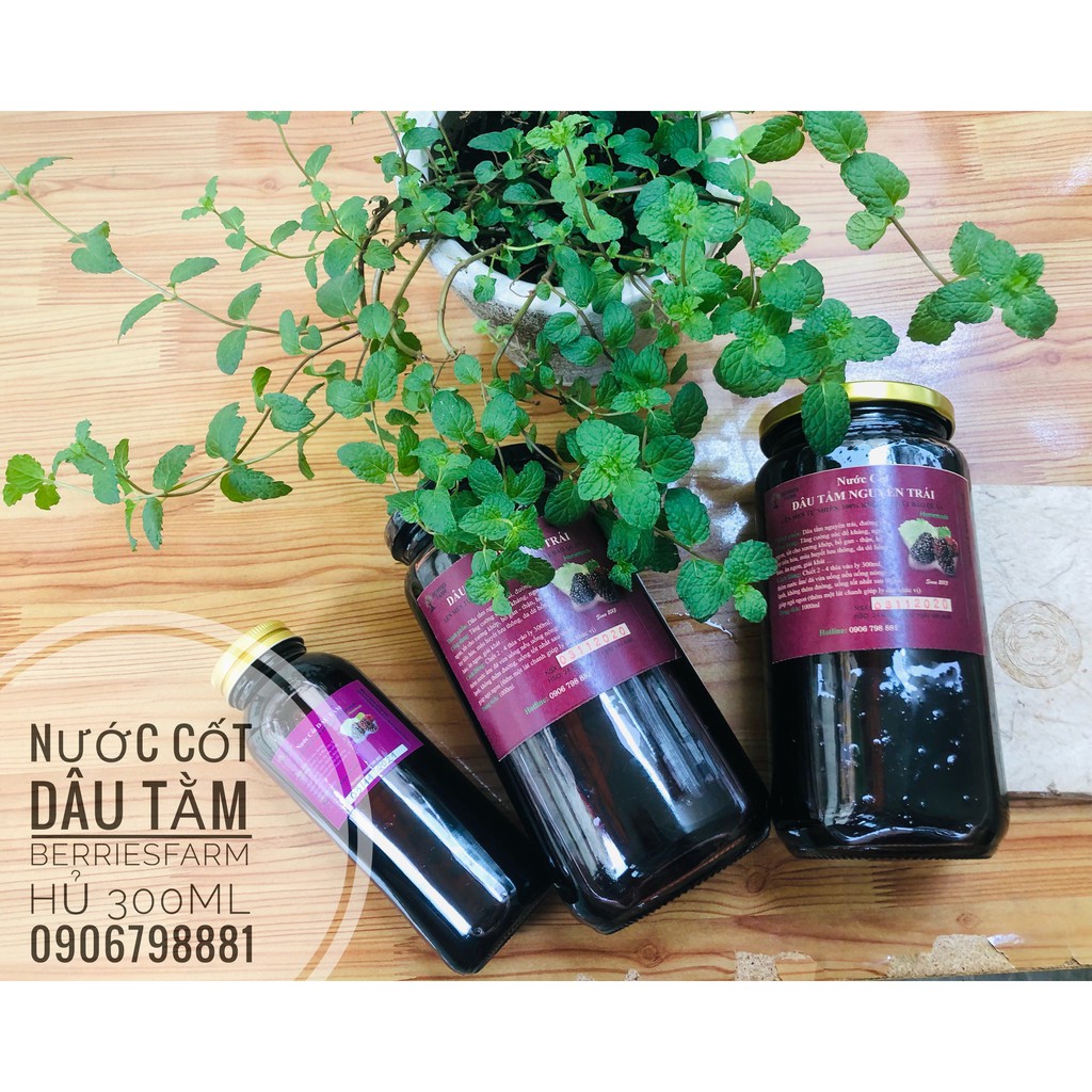 [NGUYÊN CHẤT] Nước cốt Dâu tằm ngâm NGUYÊN TRÁI với đường vàng chai 300ml thuỷ tinh - 100% tự nhiên, không chất bảo q