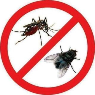 Thuốc phun muỗi sinh học mà các bệnh viện chuyên dùng