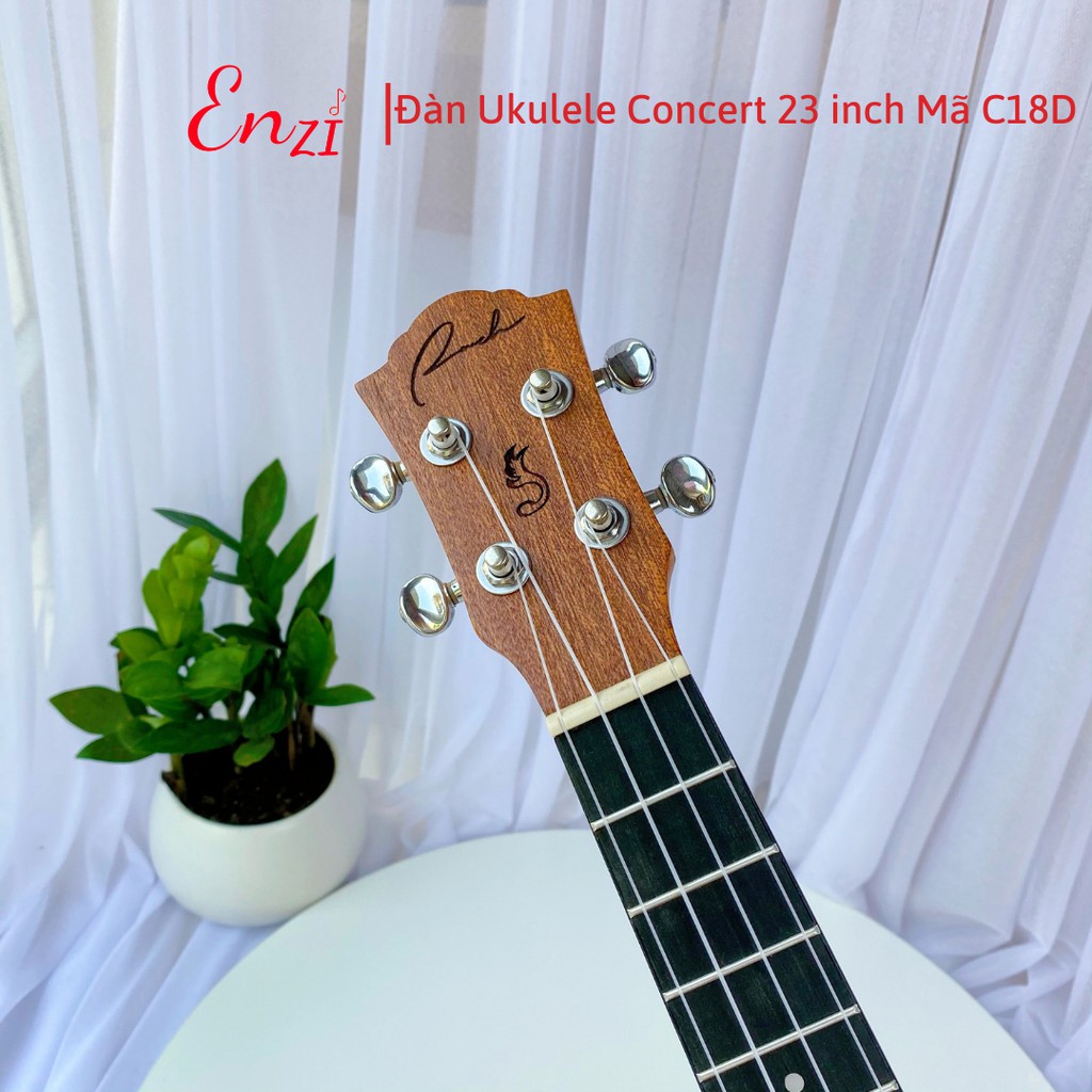 Đàn ukulele concert C18D Enzi 23 inch gỗ mộc viền tròn khóa đúc giá rẻ cho bạn mới bắt đầu tập chơi