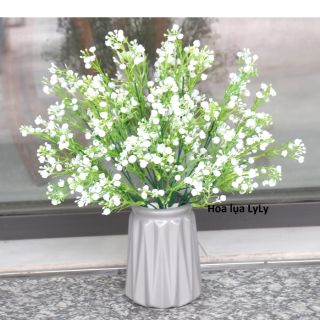 Cụm điểm hoa baby trang trí sân vườn, nhà cửa hoặc điểm bình hoa xinh yêu.